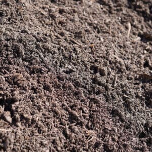 DALTONS LAWN MIX