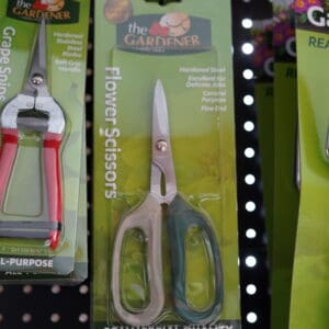 Primehort Scissor Flower