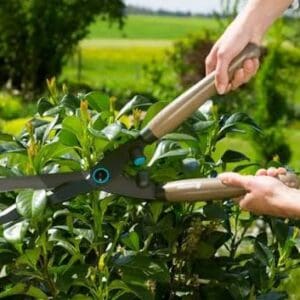 Gardena Classic Hedge Clippers