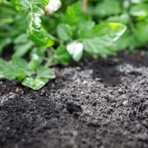 LIVING EARTH Garden Mix (bulk)