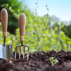 LIVING EARTH Compost (bulk)