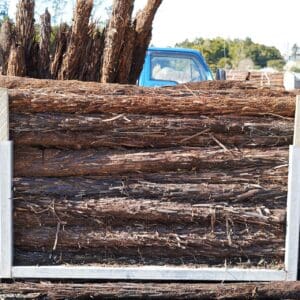 Ponga Logs 2.4metre