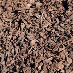 BARK 4