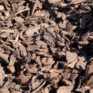 BARK 5